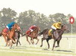 (image for) Finishing Post - Sporting Scenes by John Clayton